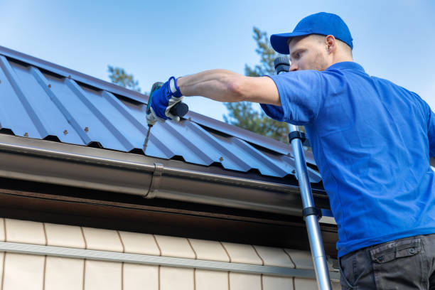 Best Roof Moss and Algae Removal  in Pebble Creek, FL