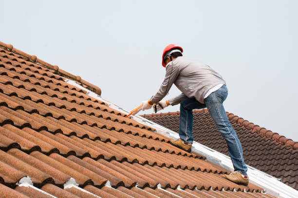 Best Asphalt Shingles Roofing  in Pebble Creek, FL