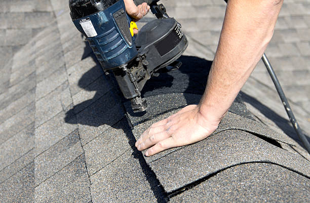 Best Metal Roofing Installation  in Pebble Creek, FL